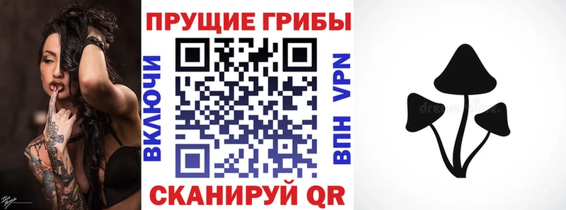 Галлюциногенные грибы Psilocybine cubensis  Пикалёво 