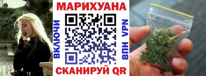 где продают наркотики  Пикалёво  Шишки марихуана семена 